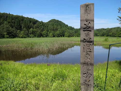 大館市の地域医療を考える市民フォーラム